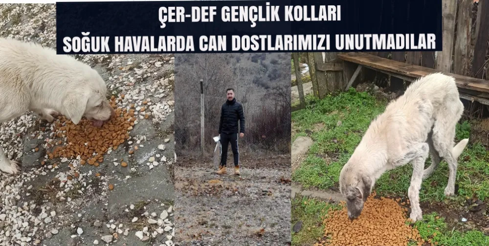 ÇER-DEF GENÇLİK KOLLARI SOĞUK HAVALARDA CAN DOSTLARIMIZI UNUTMADILAR 